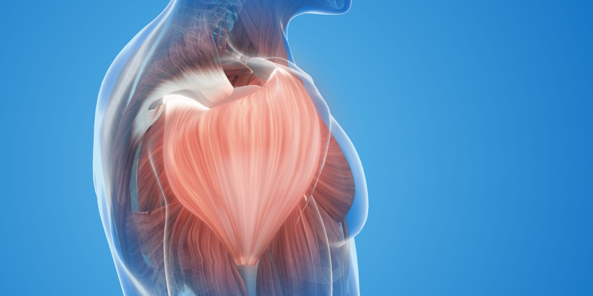 Subacromial shoulder pain treatment - Cyprus Orthopaedics